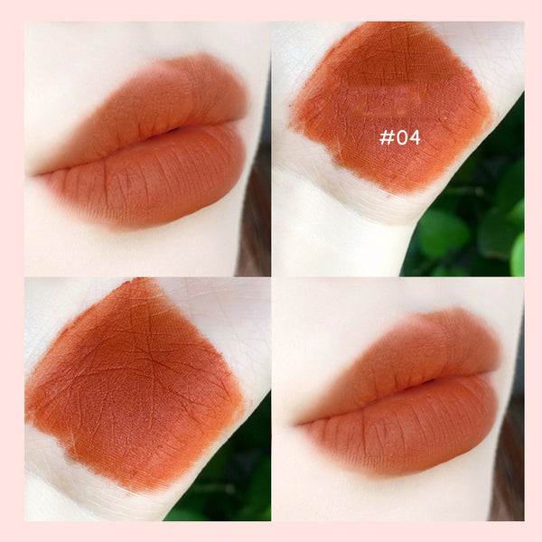 Velvet Matte Waterproof Lip Gloss Lipstick