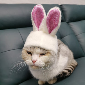 Shiny Bunny Ears Pet Dress-Up Accessories