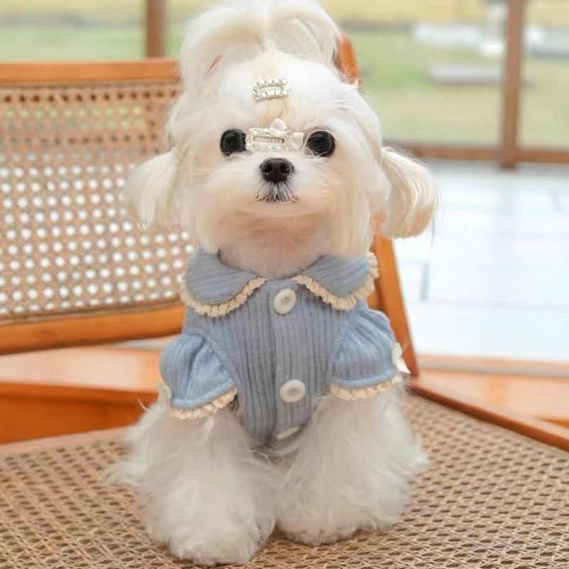Cute Lapel Coat For Pet Dogs And Cats