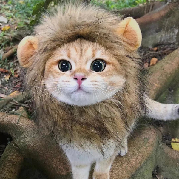Funny And Cute Lion Headgear