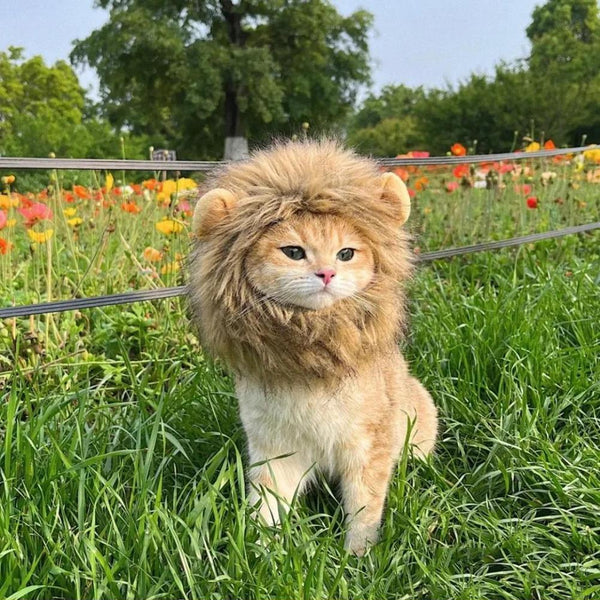 Funny And Cute Lion Headgear