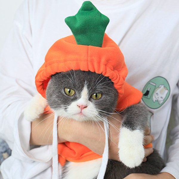Anti-Shedding Warm Cute Cat Clothes