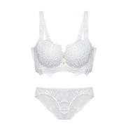 Embroidered lace push up sexy bra panties set