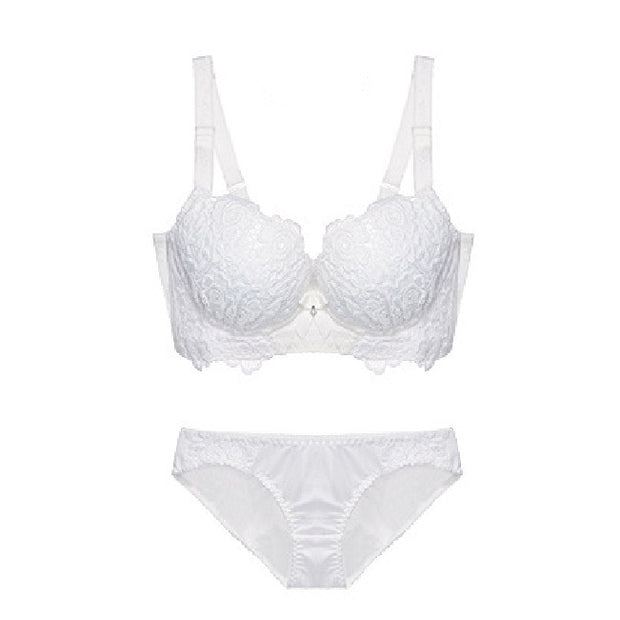 Embroidered lace push up sexy bra panties set