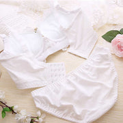 Embroidered lace push up sexy bra panties set