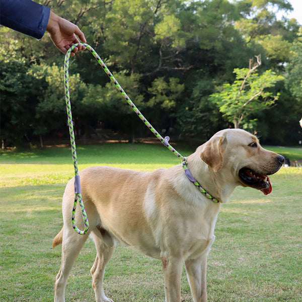 Dog Leash Integrated Adjustable Leash Dog Walking Tool