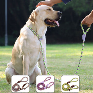 Dog Leash Integrated Adjustable Leash Dog Walking Tool