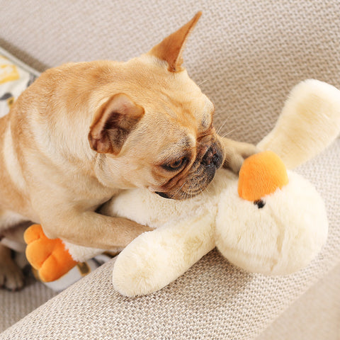 Pets Chewing Stuffed Toys