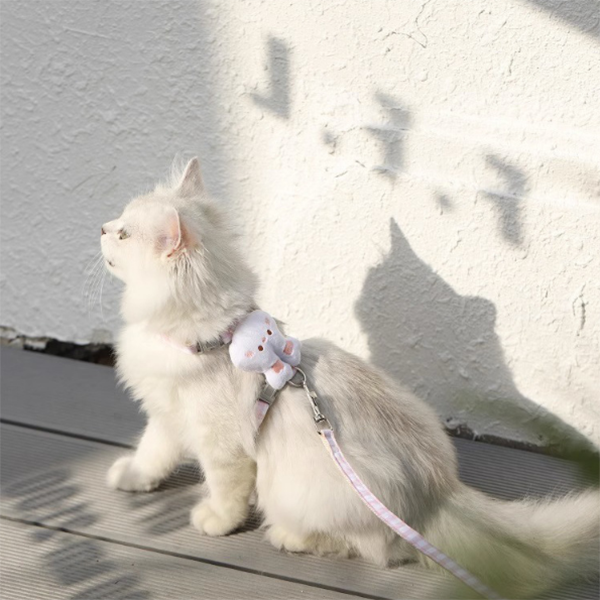 Convenient Harness For Pets To Go Out With Leash