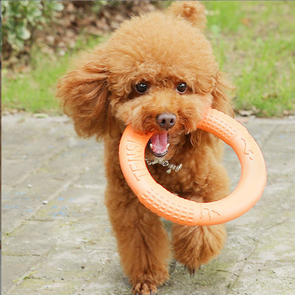 Pet Pull Ring Teeth Cleaning Toy Dog Toy