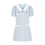 Doll Neck Bow Short Sleeve A-Line Dress