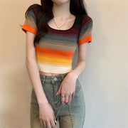 Stretch Multicolor Striped Slim Knit Top