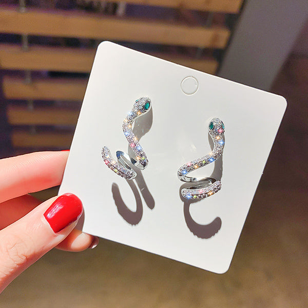 Silver Snake Shaped Unique Design Earrings