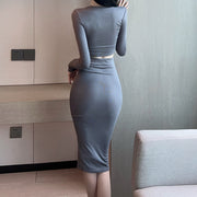 Crew Neck Tight Cropped Top High Waist Skirt Set